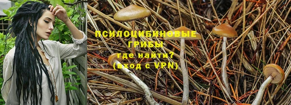 СК Беломорск