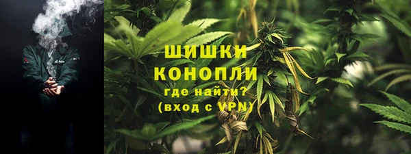 эйфоретик Белокуриха